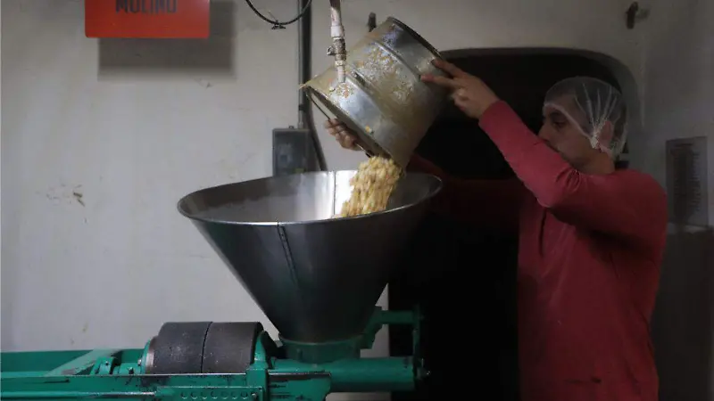 Tortilla